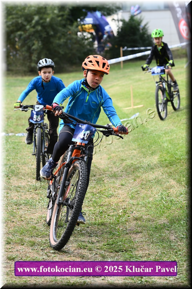 Náhled obrázku: 2025-3393-Celadna-.JPG