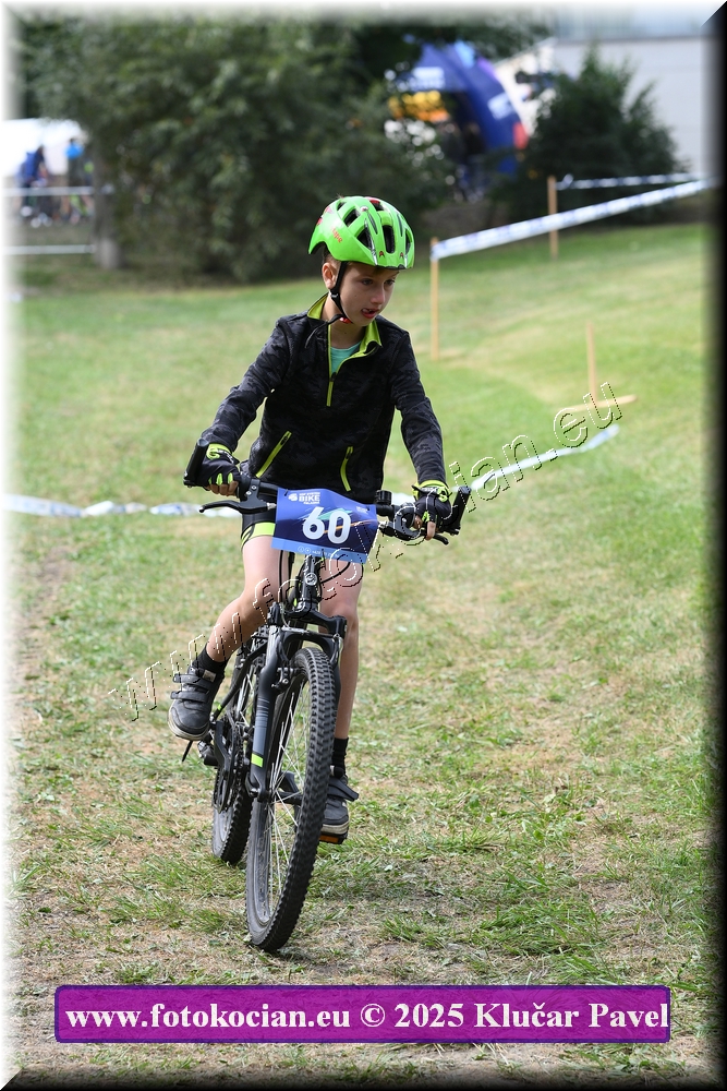 Náhled obrázku: 2025-3395-Celadna-.JPG