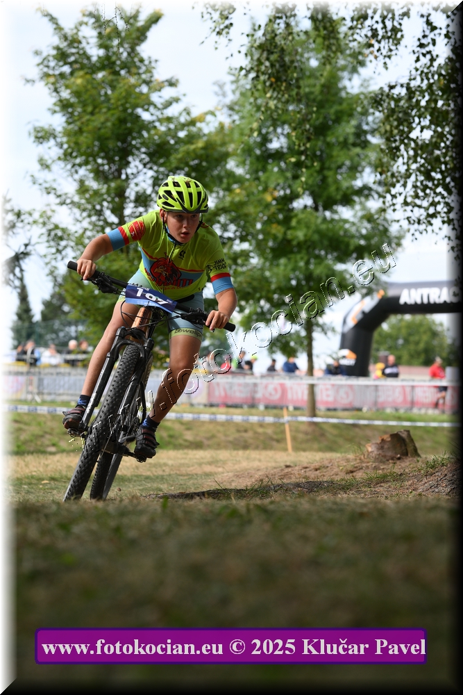 Náhled obrázku: 2025-3398-Celadna-.JPG