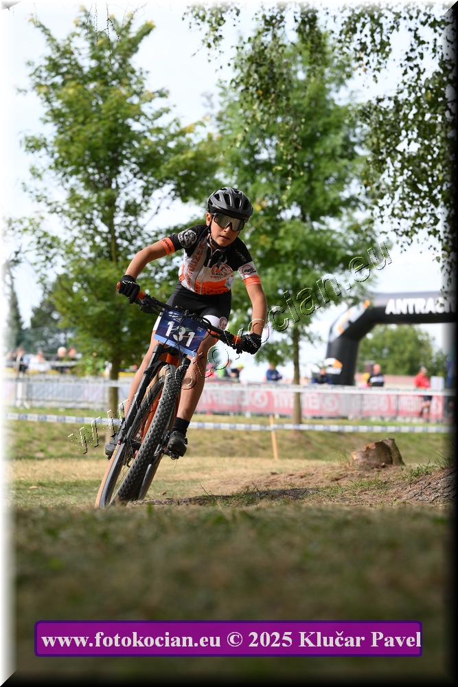 Náhled obrázku: 2025-3399-Celadna-.JPG