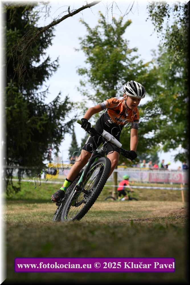 Náhled obrázku: 2025-3400-Celadna-.JPG