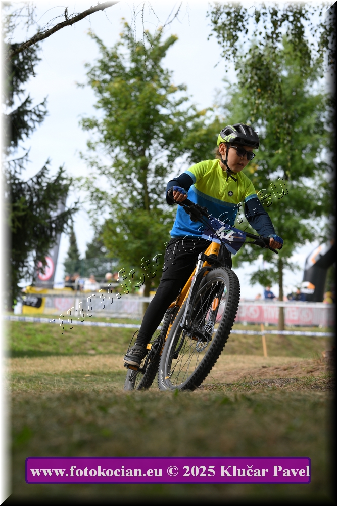 Náhled obrázku: 2025-3401-Celadna-.JPG