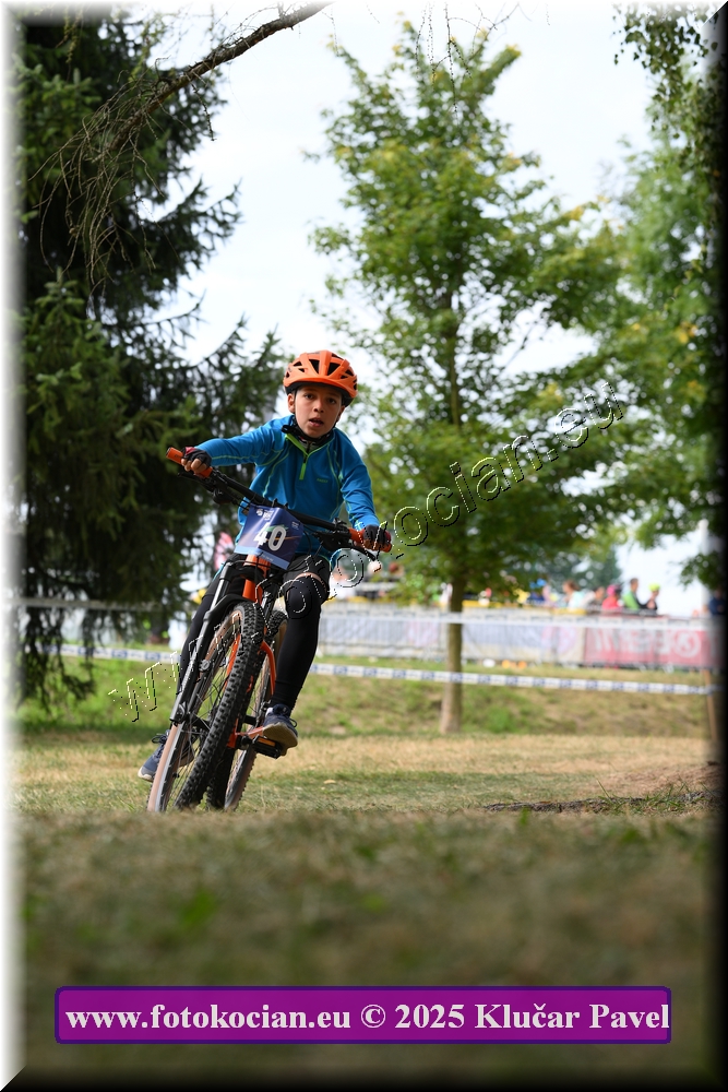 Náhled obrázku: 2025-3402-Celadna-.JPG