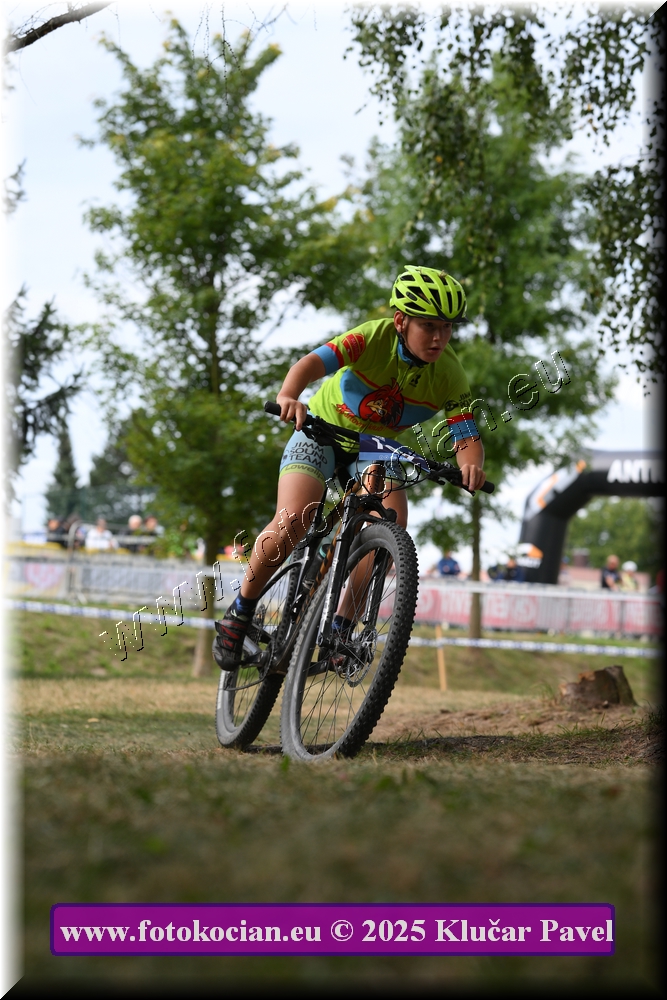 Náhled obrázku: 2025-3407-Celadna-.JPG