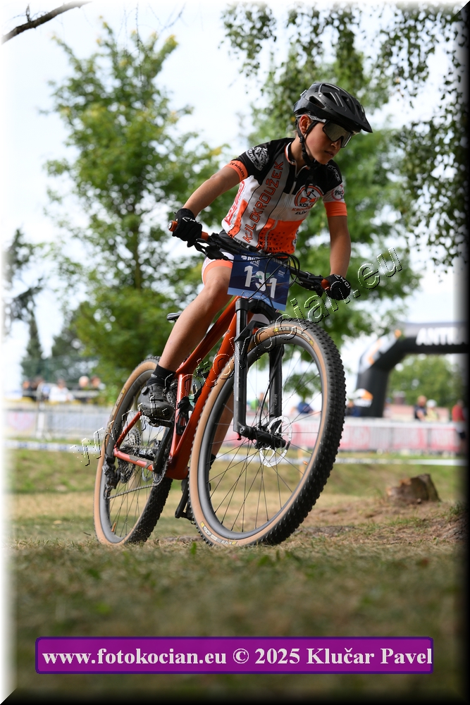 Náhled obrázku: 2025-3408-Celadna-.JPG