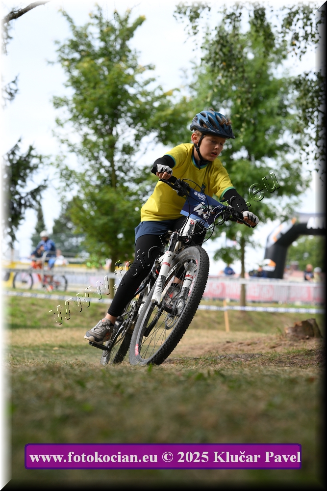 Náhled obrázku: 2025-3410-Celadna-.JPG