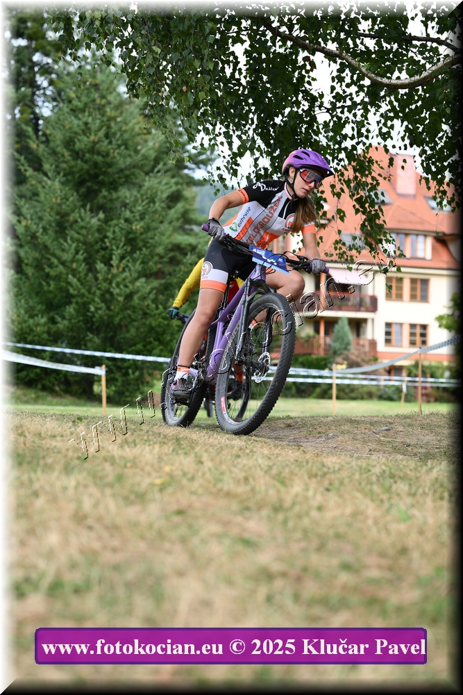 Náhled obrázku: 2025-3420-Celadna-.JPG