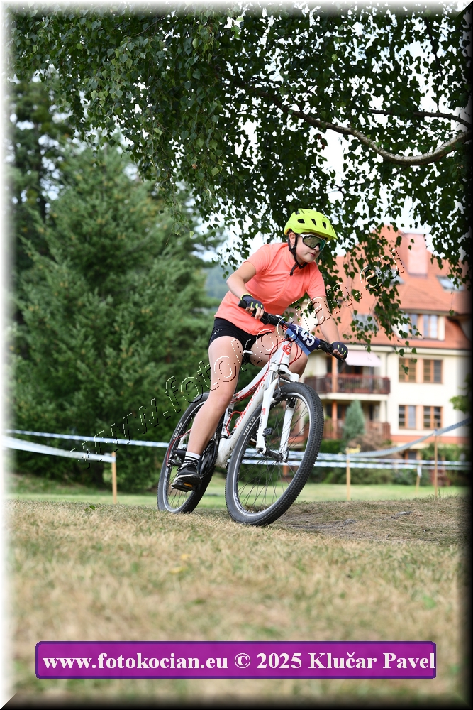 Náhled obrázku: 2025-3422-Celadna-.JPG