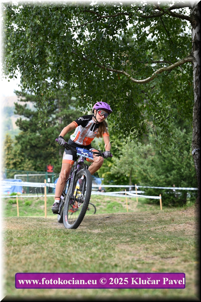 Náhled obrázku: 2025-3424-Celadna-.JPG