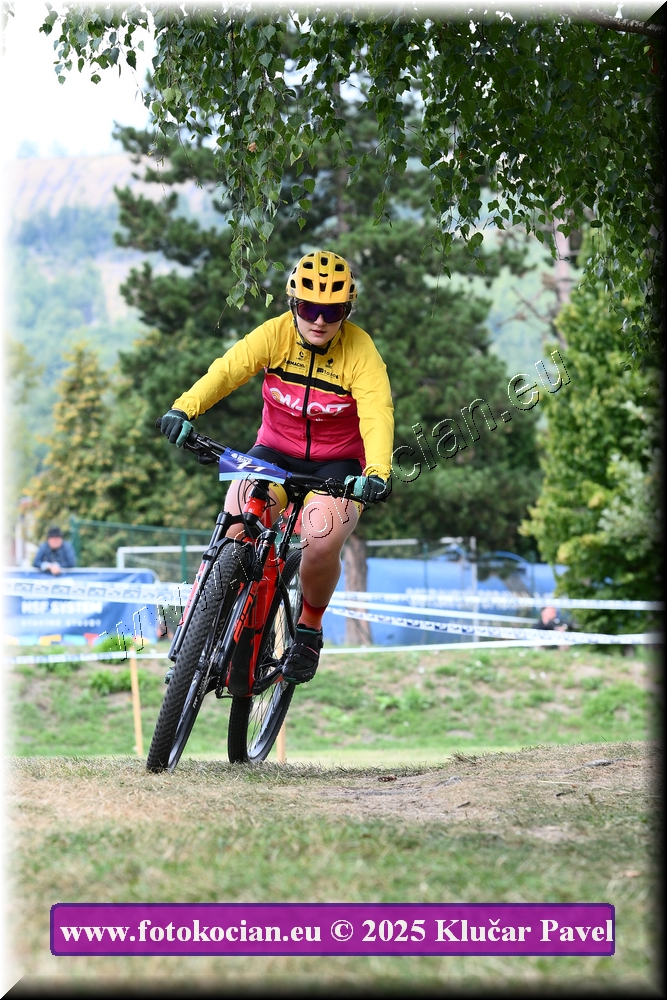 Náhled obrázku: 2025-3425-Celadna-.JPG