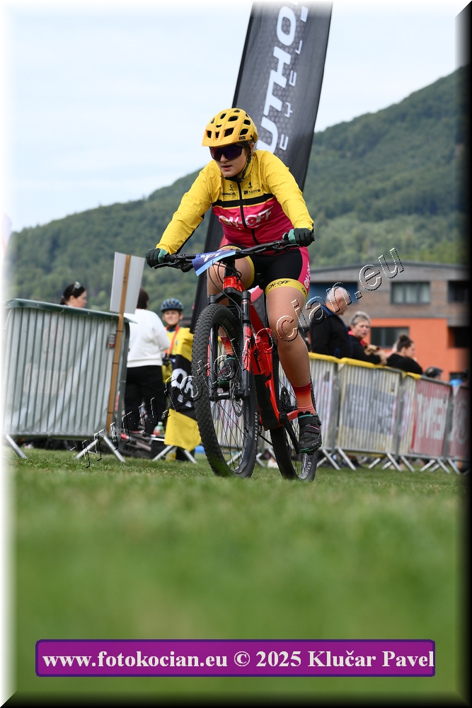 Náhled obrázku: 2025-3429-Celadna-.JPG