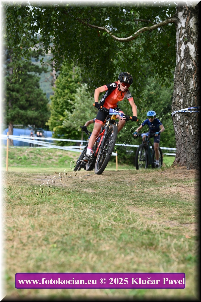 Náhled obrázku: 2025-3443-Celadna-.JPG