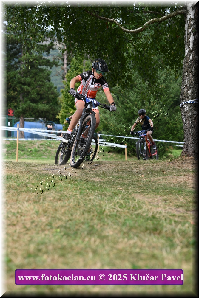 Náhled obrázku: 2025-3448-Celadna-.JPG