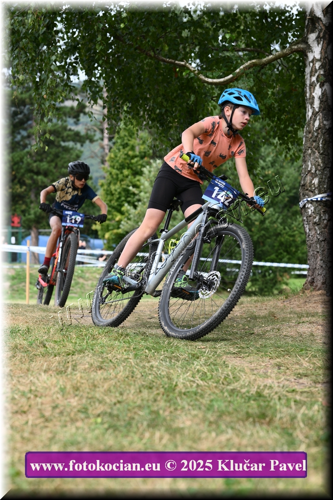 Náhled obrázku: 2025-3449-Celadna-.JPG