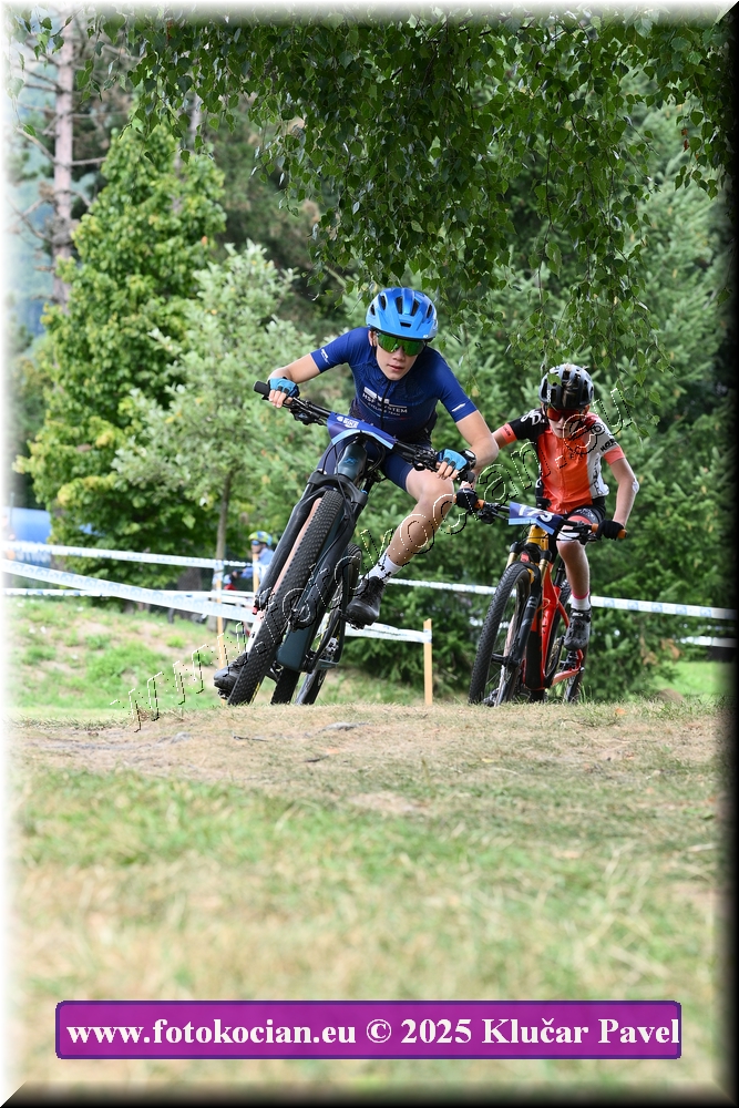 Náhled obrázku: 2025-3452-Celadna-.JPG