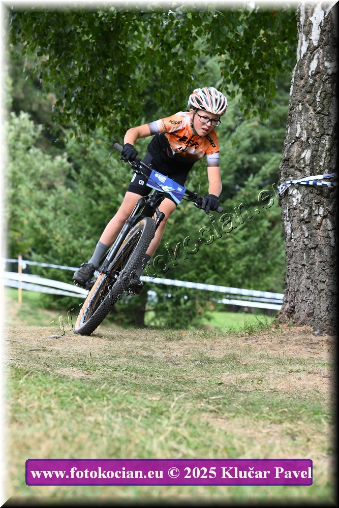 Náhled obrázku: 2025-3454-Celadna-.JPG