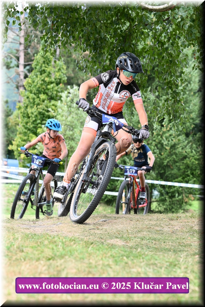 Náhled obrázku: 2025-3457-Celadna-.JPG