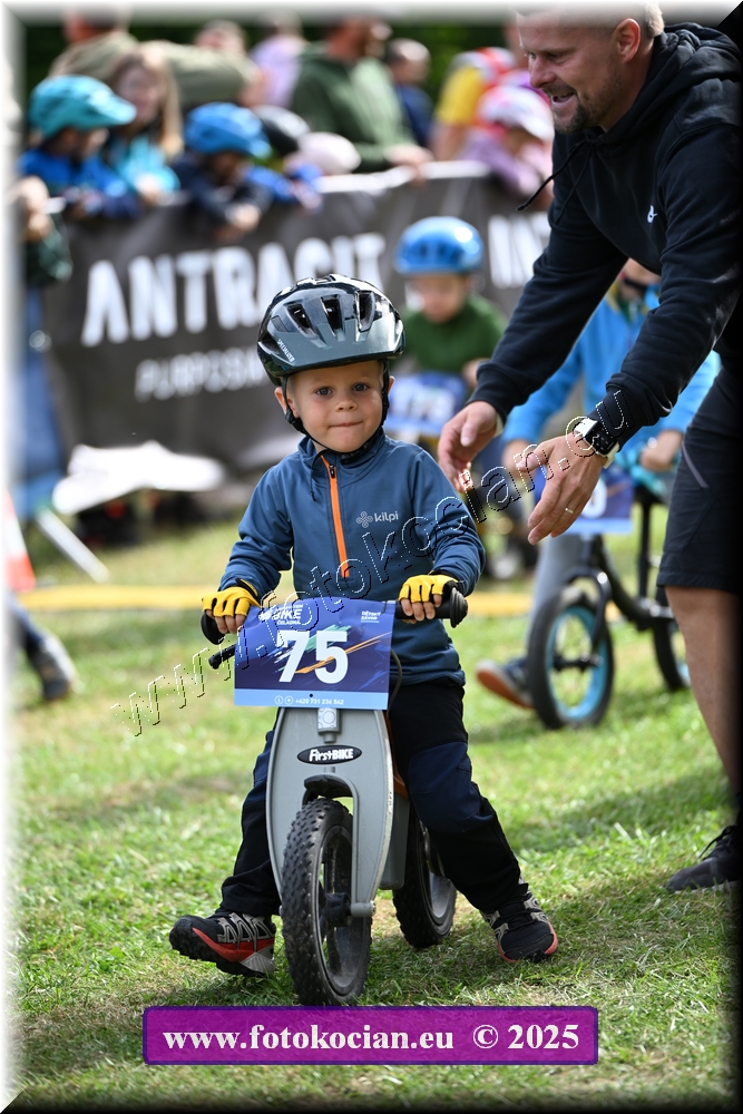 Náhled obrázku: 2025-1024-Celadna-.JPG