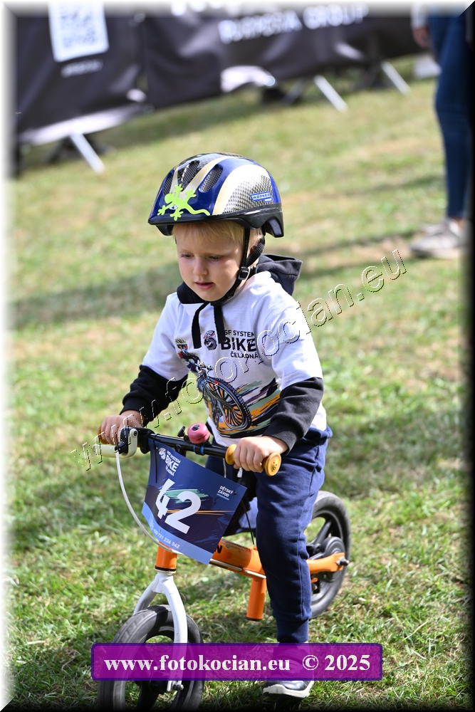 Náhled obrázku: 2025-1030-Celadna-.JPG