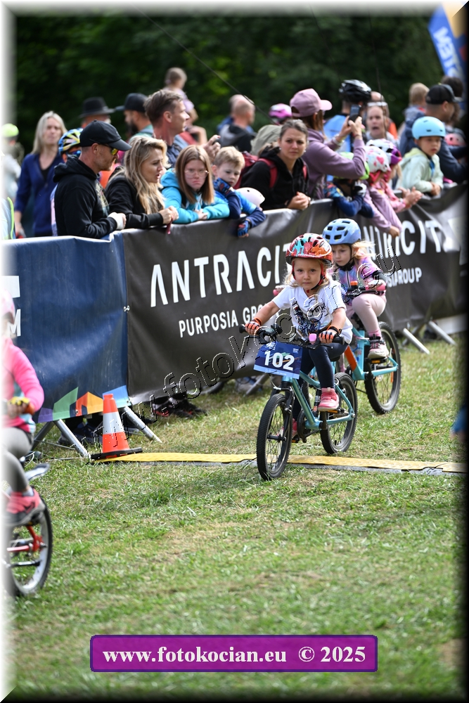 Náhled obrázku: 2025-1045-Celadna-.JPG