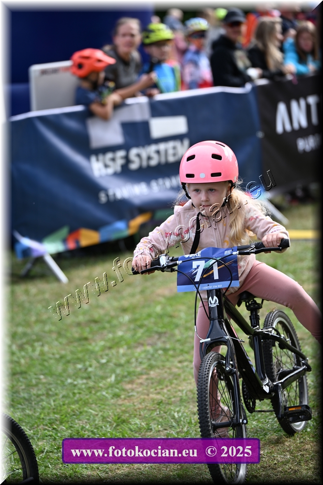 Náhled obrázku: 2025-1047-Celadna-.JPG