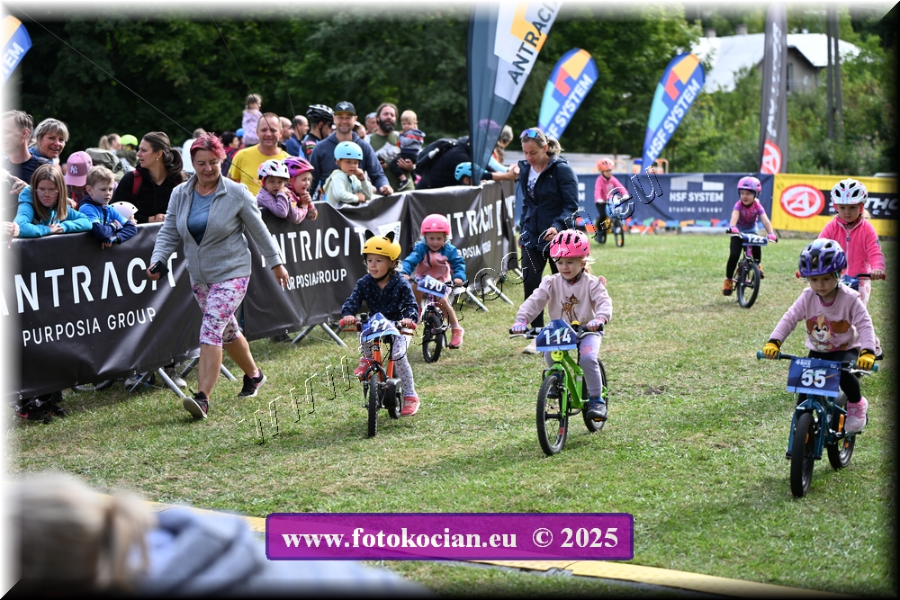 Náhled obrázku: 2025-1051-Celadna-.JPG