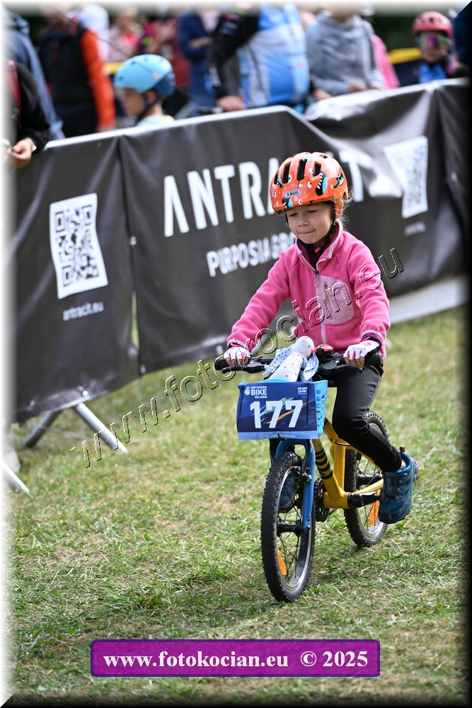 Náhled obrázku: 2025-1055-Celadna-.JPG