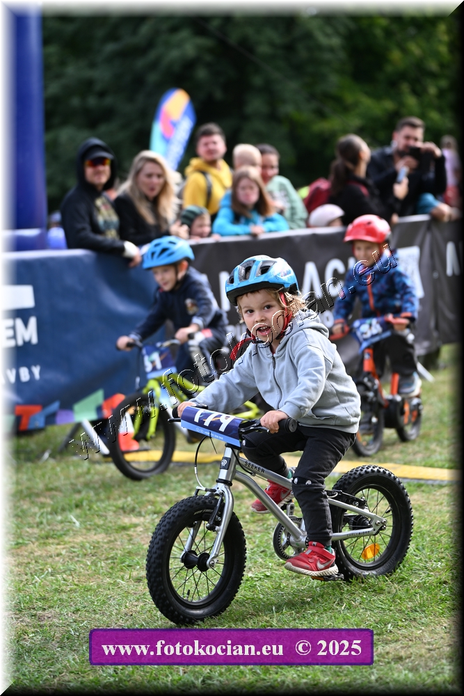 Náhled obrázku: 2025-1073-Celadna-.JPG