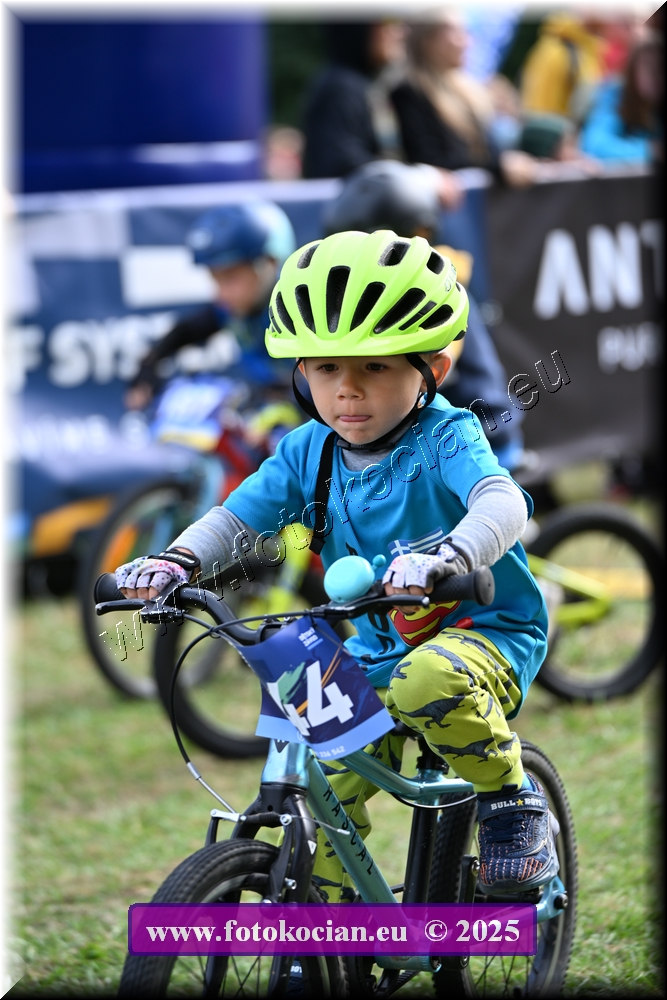 Náhled obrázku: 2025-1079-Celadna-.JPG