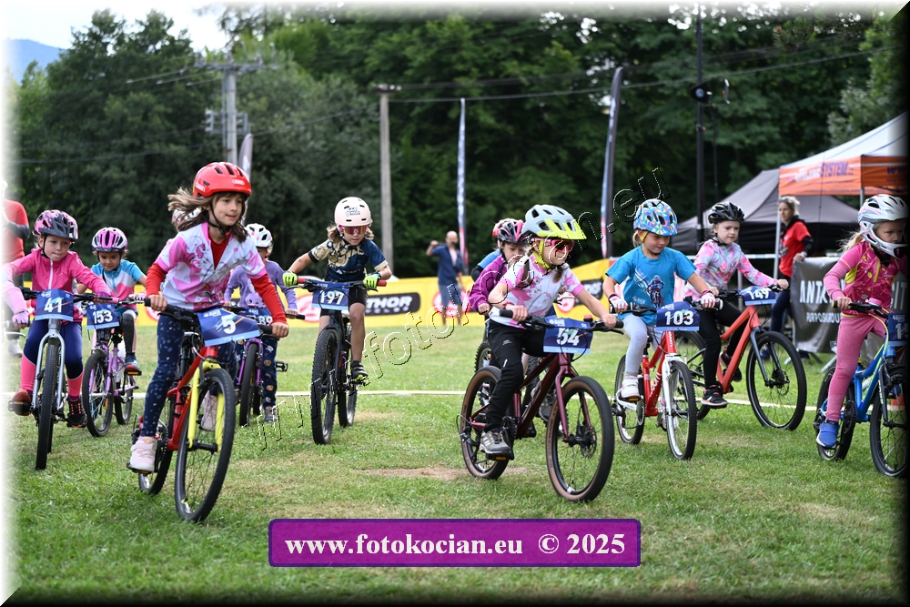 Náhled obrázku: 2025-1097-Celadna-.JPG