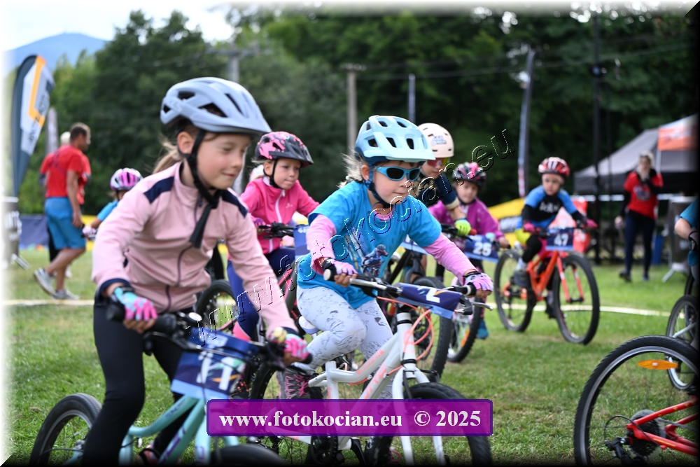 Náhled obrázku: 2025-1099-Celadna-.JPG