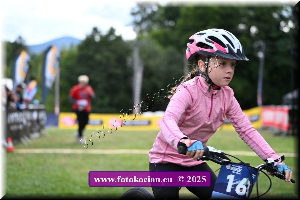 Náhled obrázku: 2025-1100-Celadna-.JPG