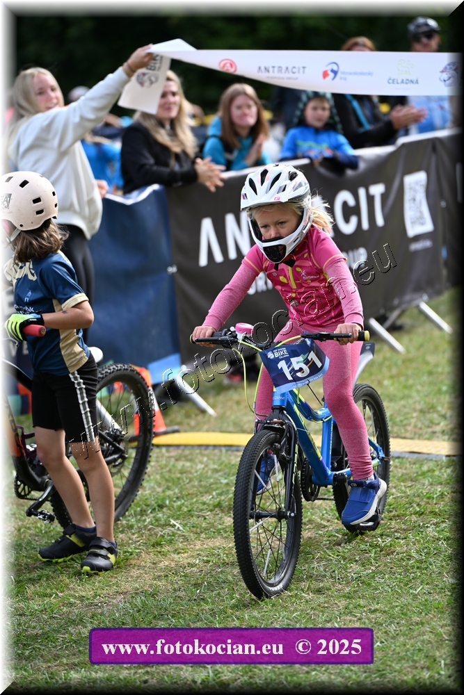 Náhled obrázku: 2025-1104-Celadna-.JPG