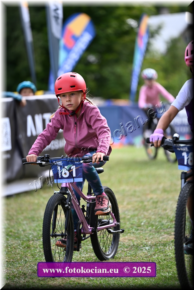 Náhled obrázku: 2025-1106-Celadna-.JPG