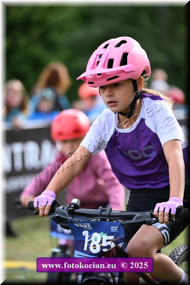 Náhled obrázku: 2025-1108-Celadna-.JPG