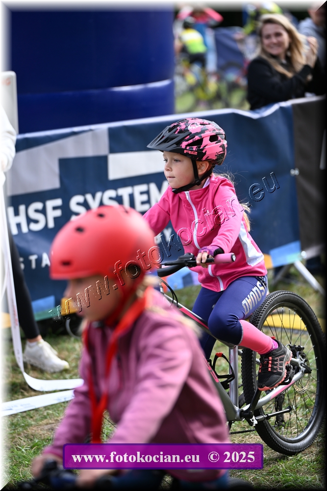 Náhled obrázku: 2025-1110-Celadna-.JPG