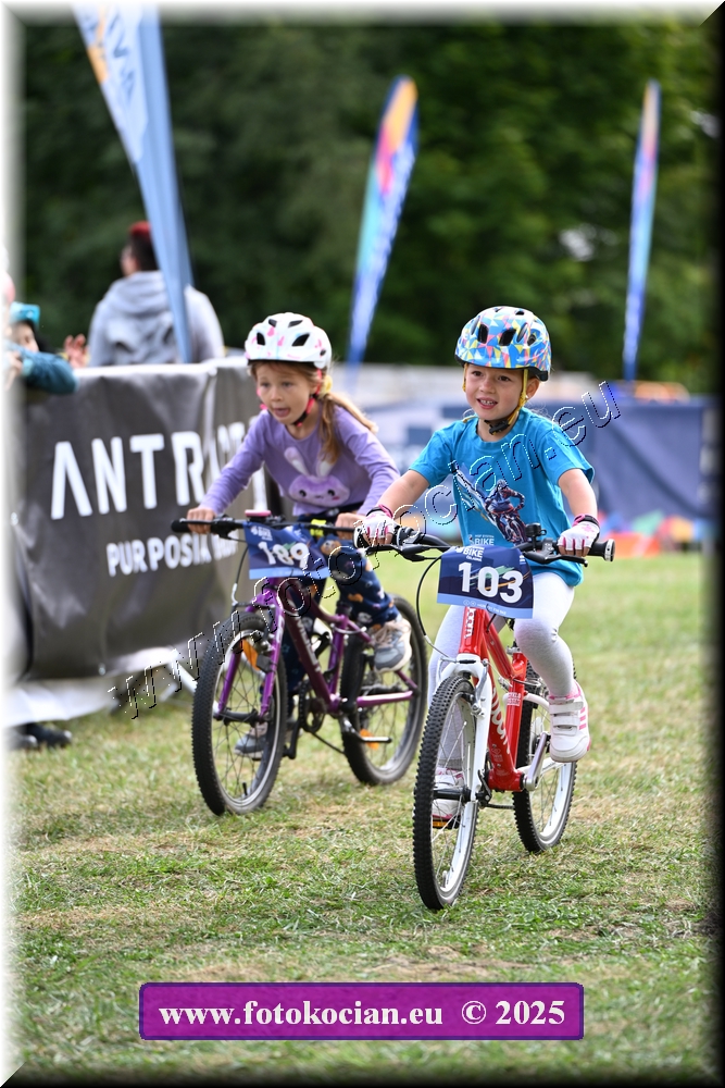 Náhled obrázku: 2025-1113-Celadna-.JPG