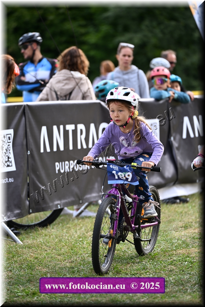 Náhled obrázku: 2025-1114-Celadna-.JPG