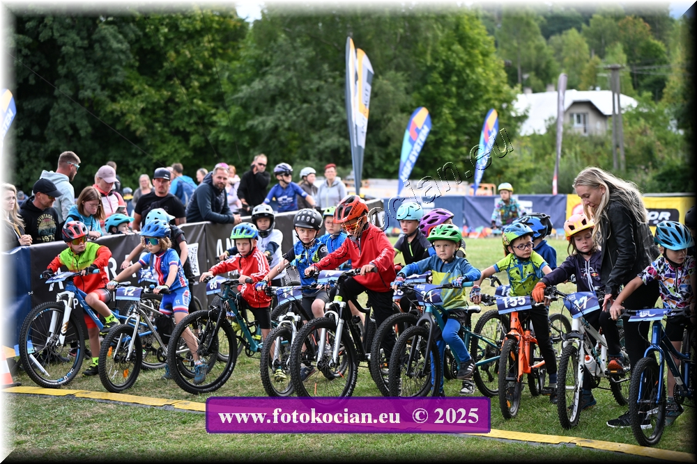 Náhled obrázku: 2025-1120-Celadna-.JPG