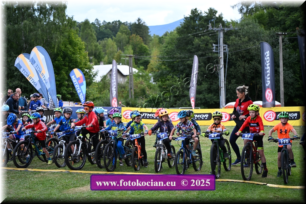 Náhled obrázku: 2025-1122-Celadna-.JPG