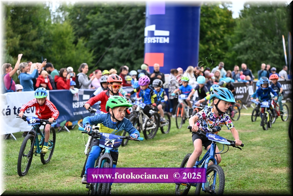 Náhled obrázku: 2025-1127-Celadna-.JPG