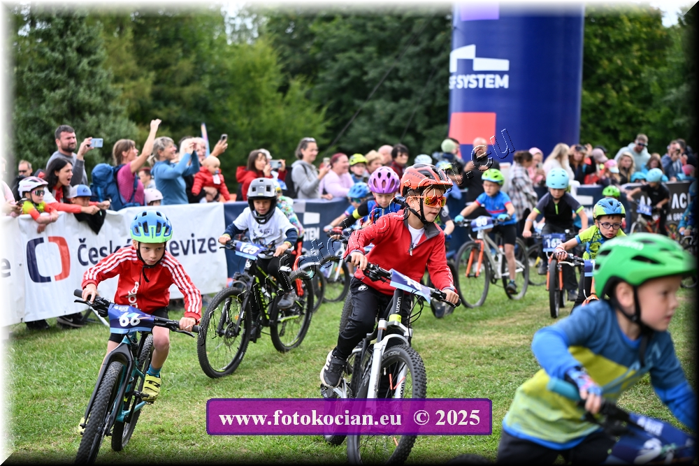 Náhled obrázku: 2025-1128-Celadna-.JPG