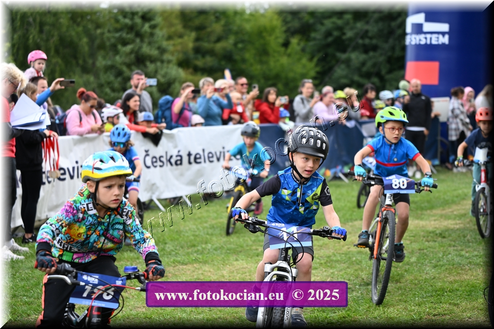 Náhled obrázku: 2025-1130-Celadna-.JPG