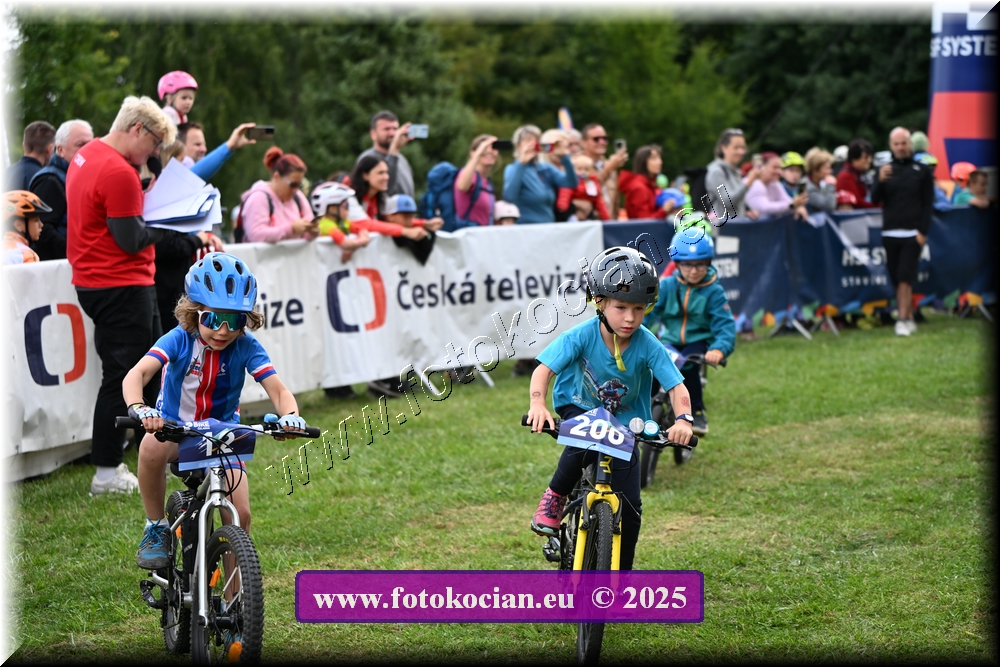 Náhled obrázku: 2025-1131-Celadna-.JPG