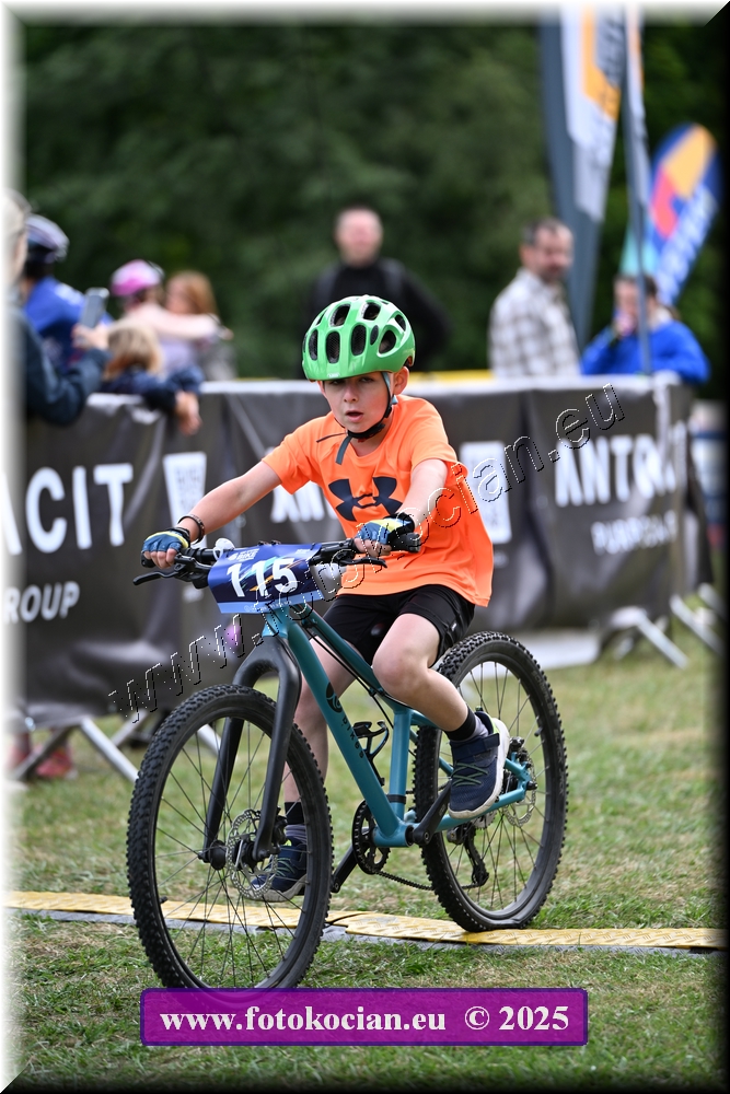 Náhled obrázku: 2025-1147-Celadna-.JPG