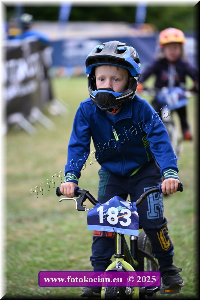 Náhled obrázku: 2025-1163-Celadna-.JPG