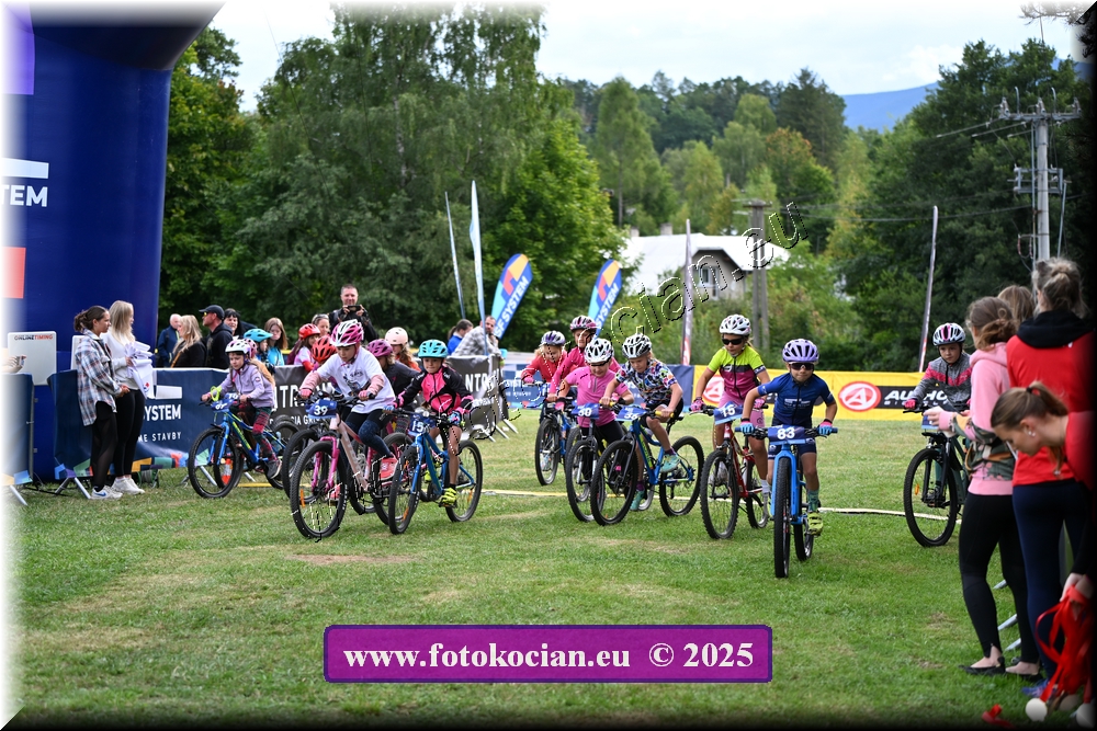 Náhled obrázku: 2025-1169-Celadna-.JPG