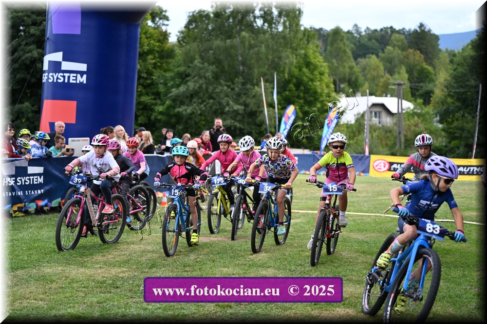 Náhled obrázku: 2025-1170-Celadna-.JPG