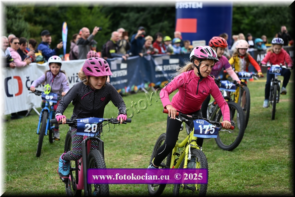 Náhled obrázku: 2025-1174-Celadna-.JPG