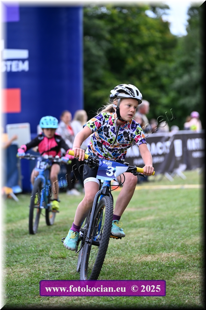 Náhled obrázku: 2025-1181-Celadna-.JPG